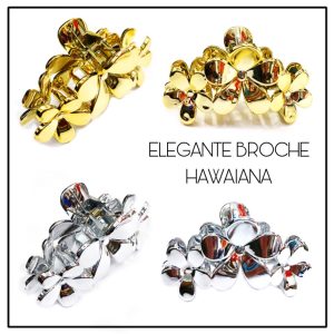 BROCHES
