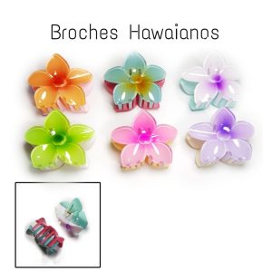 PAQUETE DE BROCHE