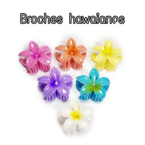 PAQUETE DE BROCHE
